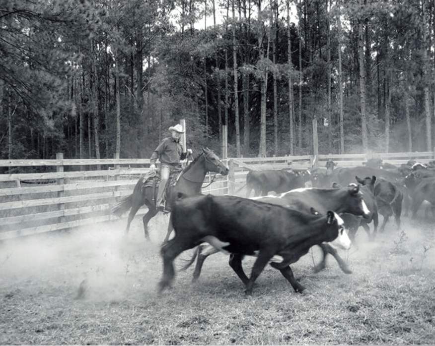 Daniel L. Hightower on a horse